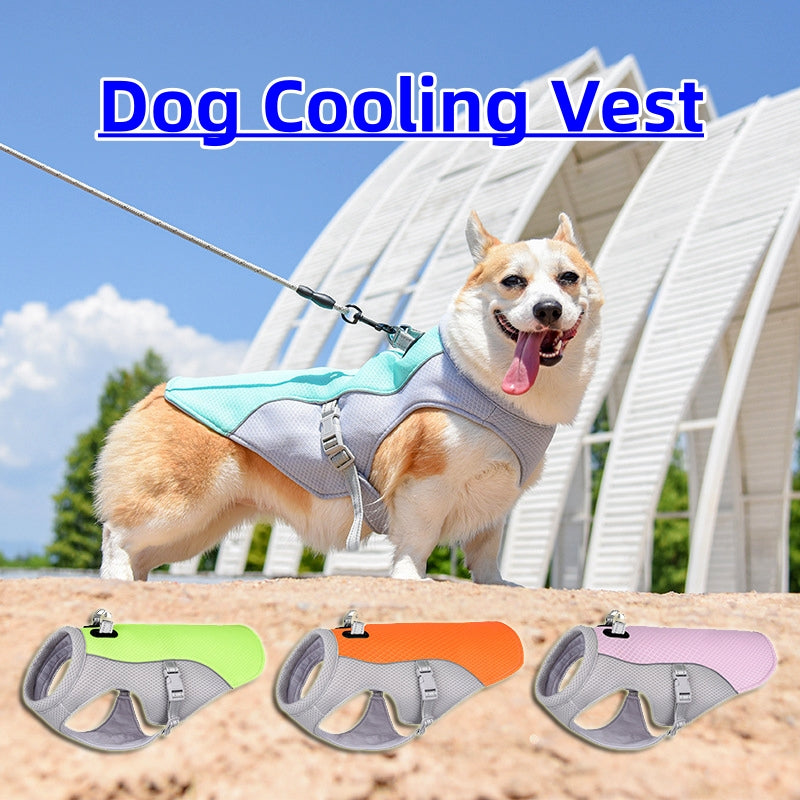 Happy dog wearing cooling vest for dogs outdoors under the sun