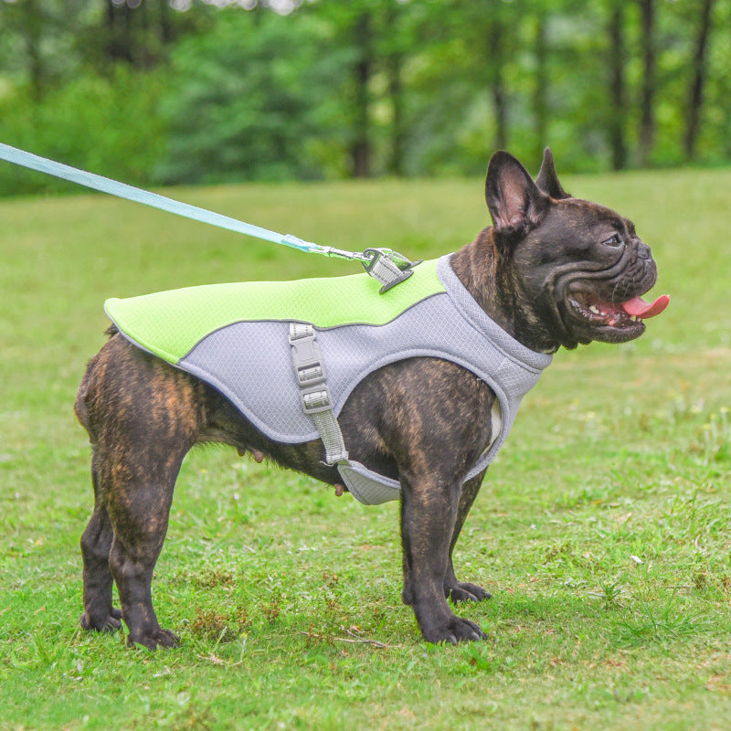 Happy dog wearing cooling vest for dogs outdoors