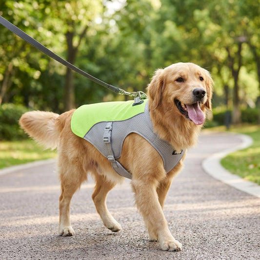 Cooling Vest for Dogs – Stay Cool on Every Walk