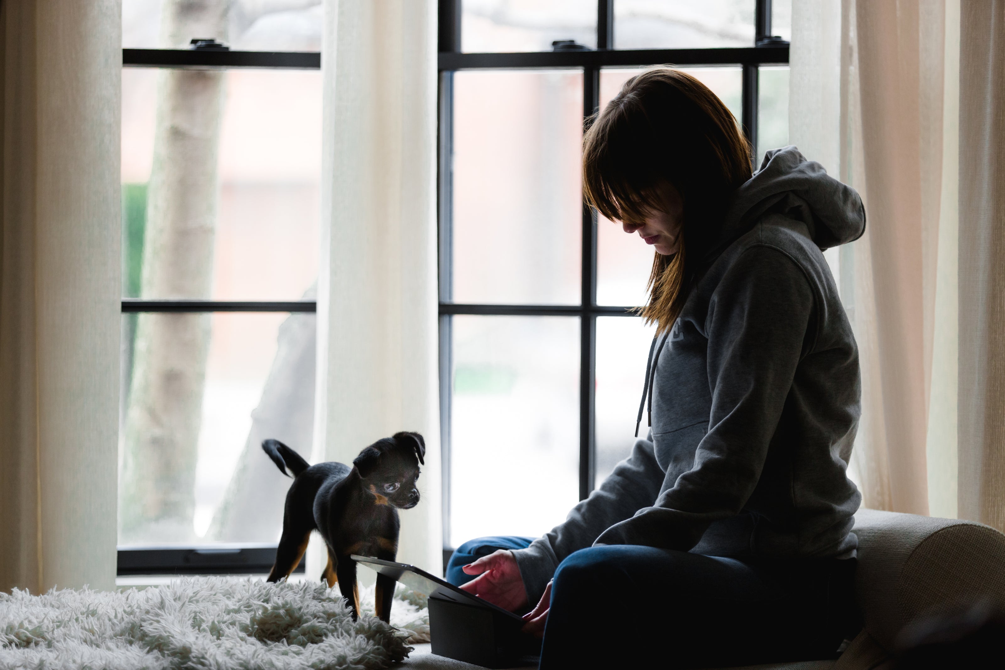 Woman working while dog watches